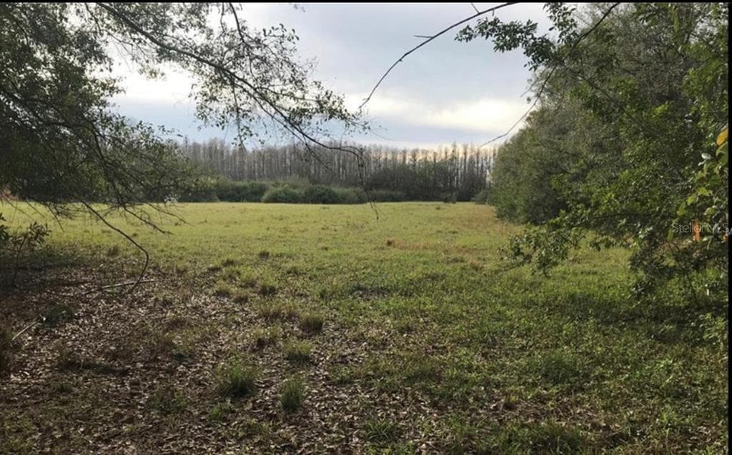 WISTERIA LOOP LAND O LAKES, FL 34638