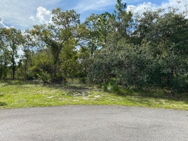 Lot 6 MALEO ROAD WEEKI WACHEE, FL 34614