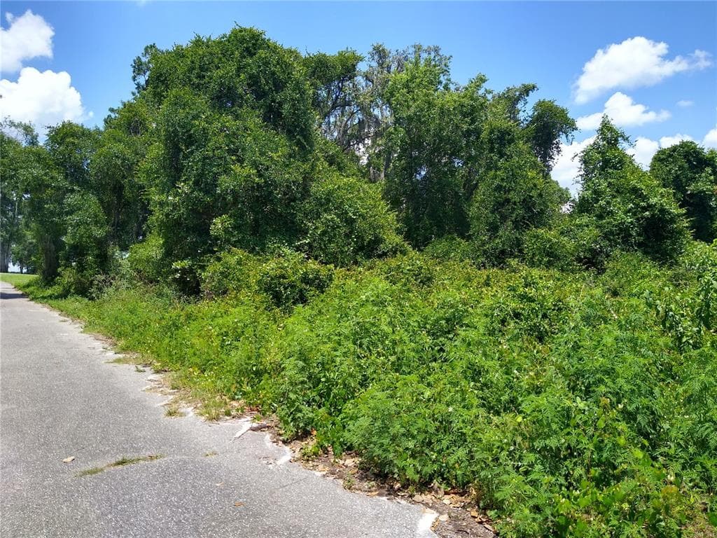 PENNY LANE DADE CITY, FL 33523