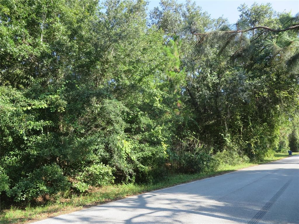 CONRAD STREET, LOT 72 WESLEY CHAPEL, FL 33544