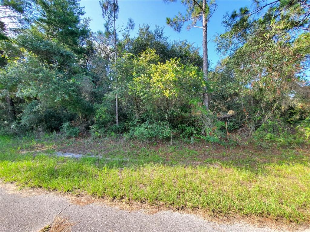 1324 TALLAHASSEE COURT POINCIANA, FL 34759