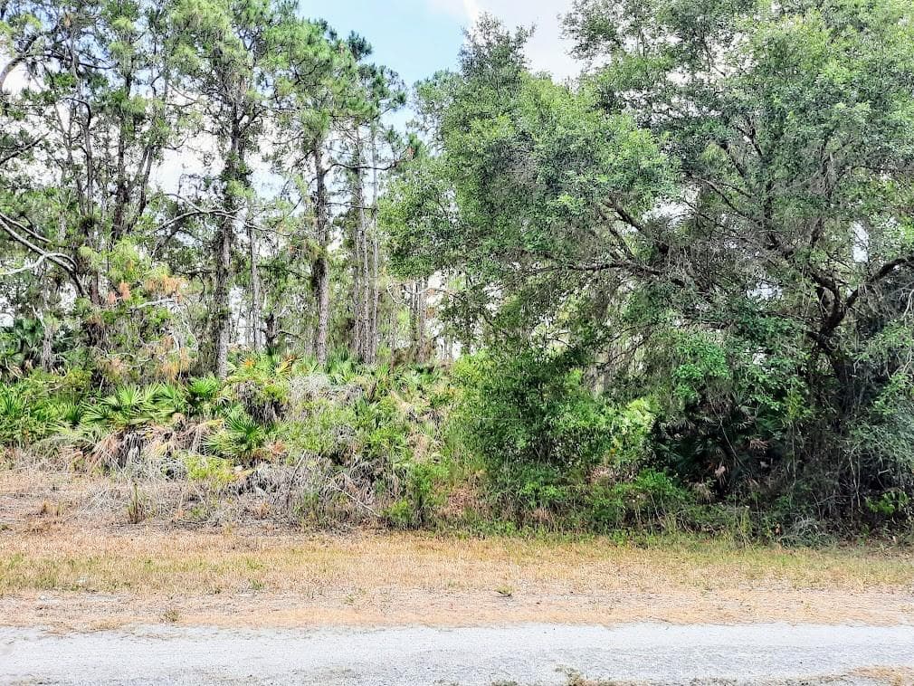 ALPACA STREET NORTH PORT, FL 34291