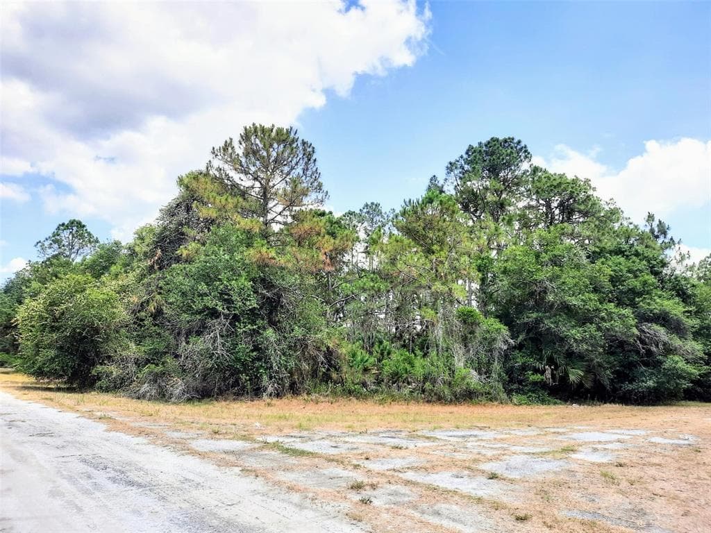 TROLLEY ROAD NORTH PORT, FL 34291