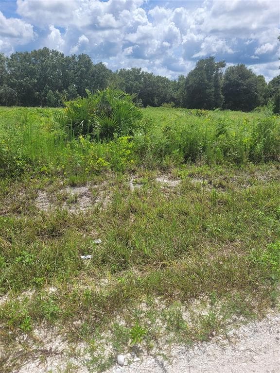 2866 W HAVILAND ROAD AVON PARK, FL 33825
