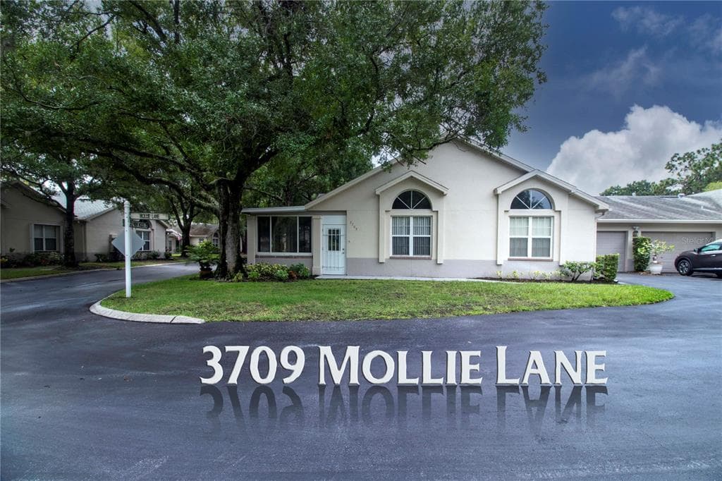 3709 MOLLIE LANE UNIT 3709 RUSKIN, FL 33573