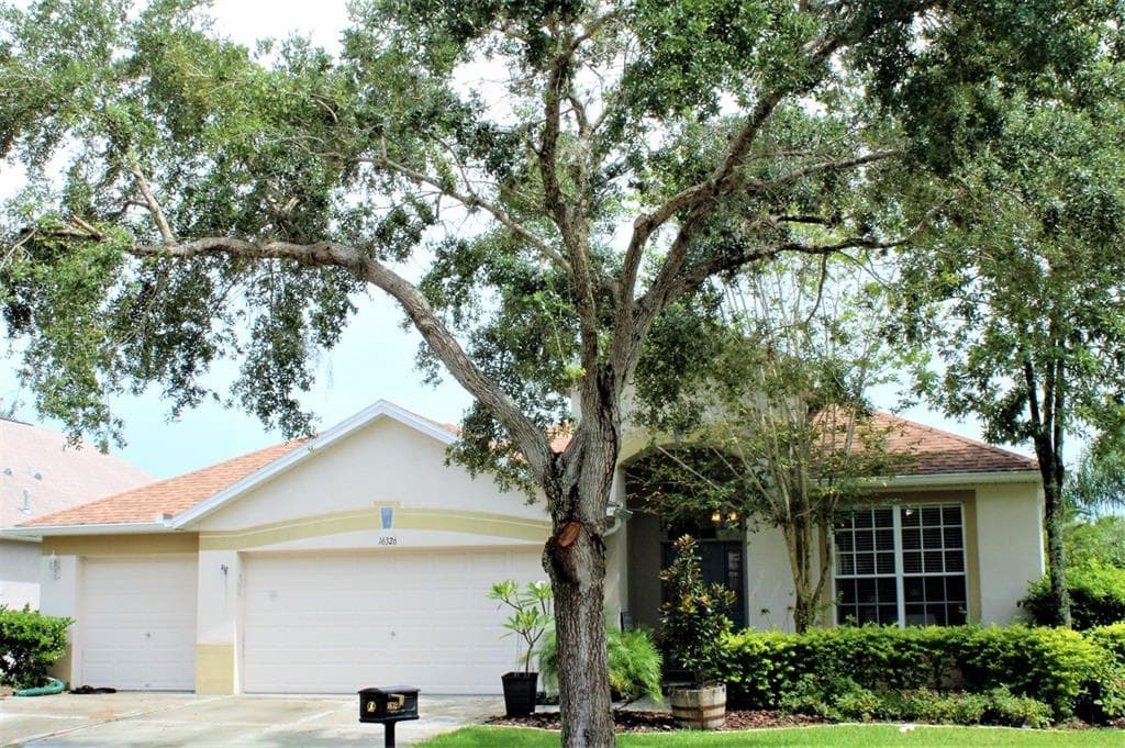 16326 BRIDGEWALK DRIVE LITHIA, FL 33547