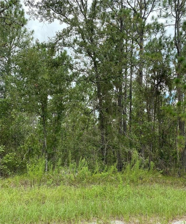 15480 WINCHELL RUN WEEKI WACHEE, FL 34614