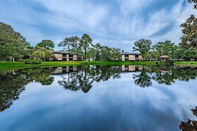 2683 SABAL SPRINGS CIRCLE UNIT 204 CLEARWATER, FL 33761