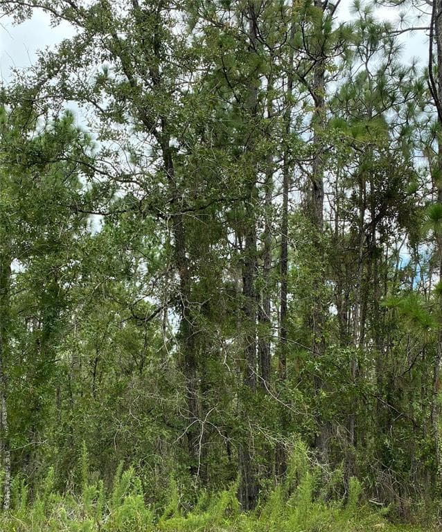 15481 SLEEPY HOLLOW WEEKI WACHEE, FL 34614
