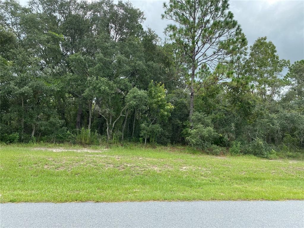 12313 HOODRIDGE COURT WEEKI WACHEE, FL 34614