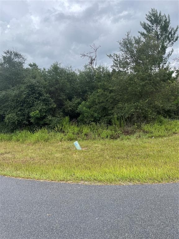SW 42ND AVE & SW 100TH ST OCALA, FL 34476