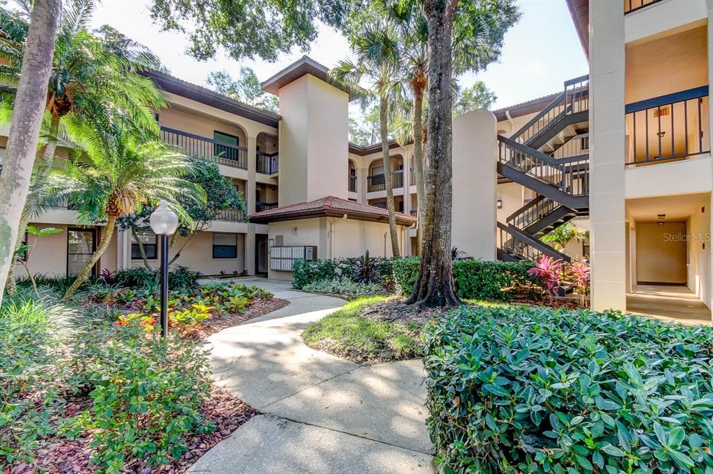 3399 MERMOOR DRIVE UNIT 204 PALM HARBOR, FL 34685