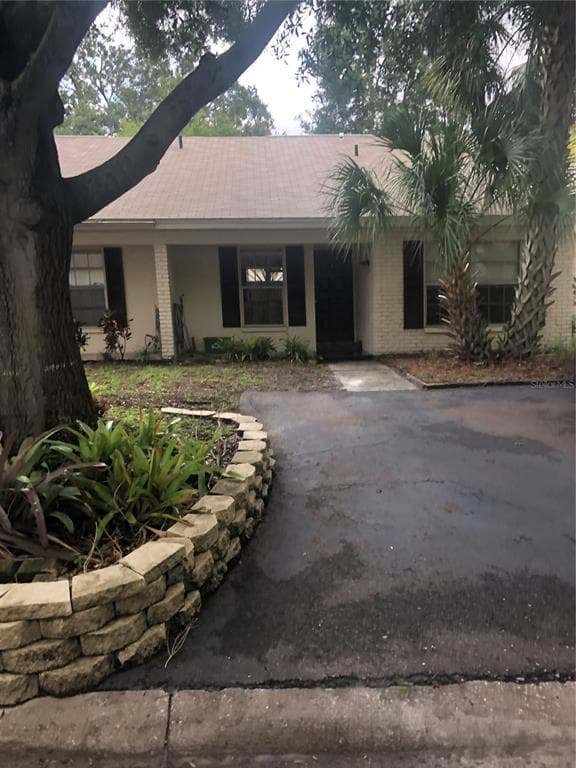 288 KENT PLACE SAFETY HARBOR, FL 34695