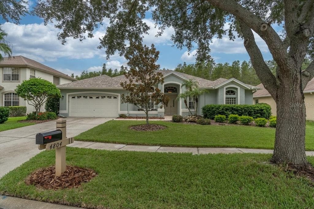 4804 TEA ROSE COURT LUTZ, FL 33558