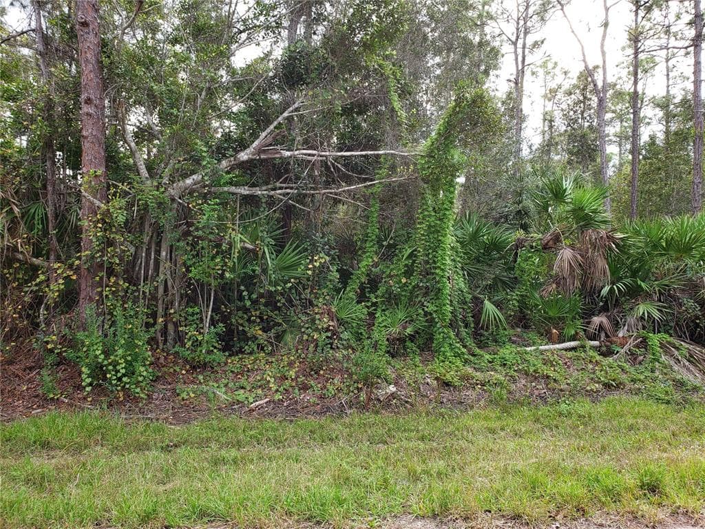 12523 ESTRELLA BOULEVARD PUNTA GORDA, FL 33955