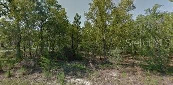 1042 W LUDLUM STREET CITRUS SPRINGS, FL 34434