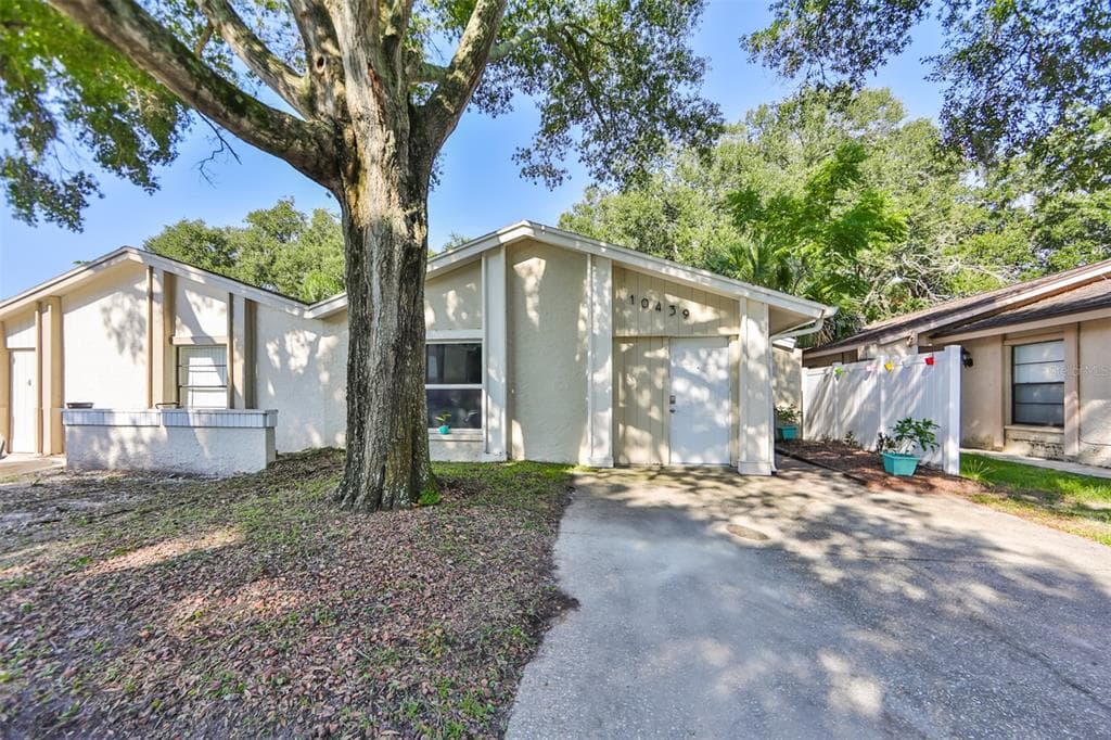 10439 ROSEMOUNT DRIVE TAMPA, FL 33624