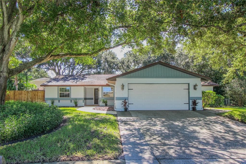 569 HAMMOCK DRIVE PALM HARBOR, FL 34683