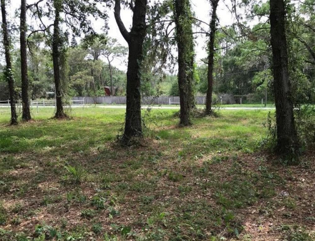 12217 FOUR OAKS ROAD TAMPA, FL 33624
