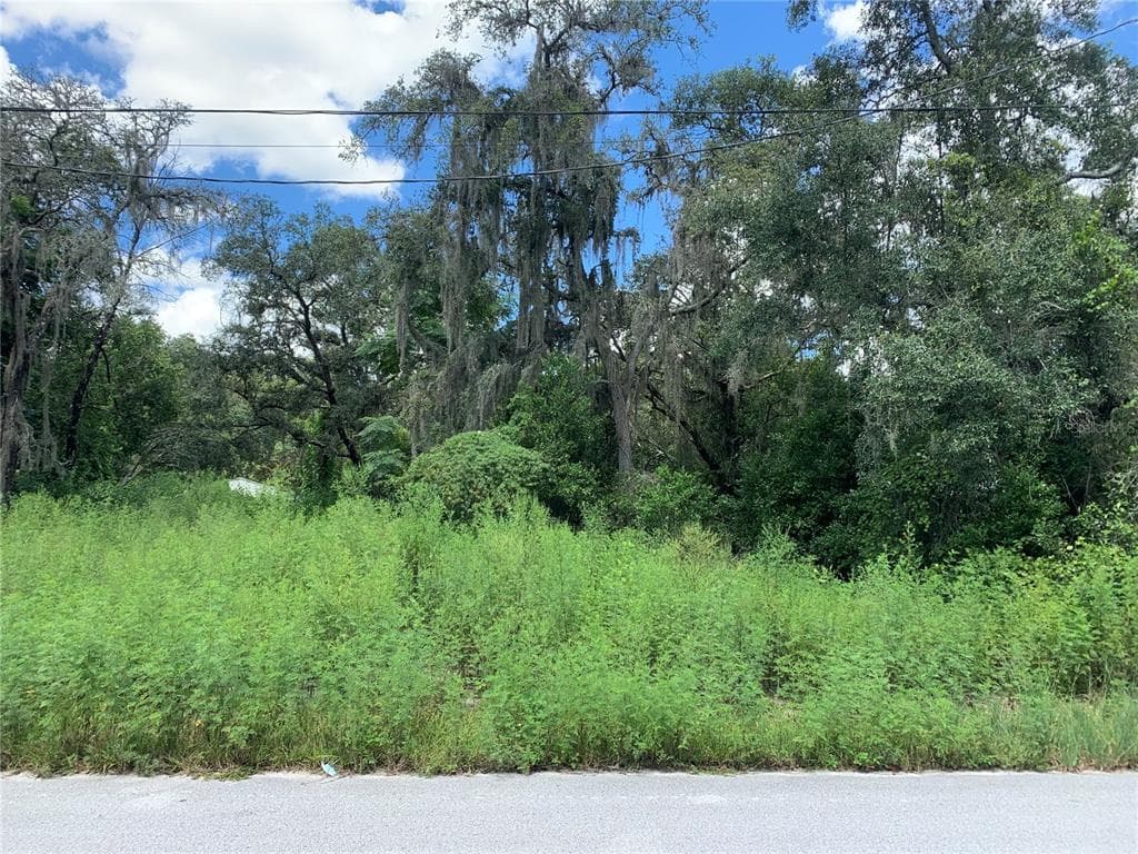 10117 MARKHAM STREET NEW PORT RICHEY, FL 34654