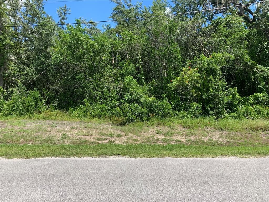 9831 POPLAR NEW PORT RICHEY, FL 34654