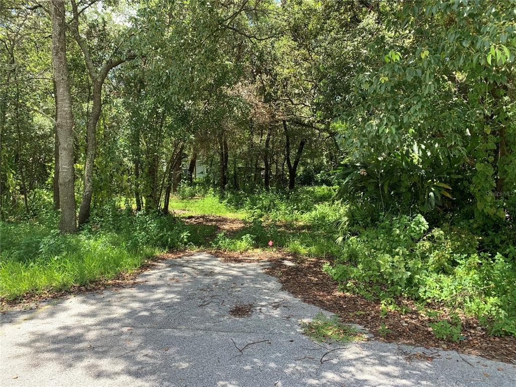 12030 PANAMA AVENUE NEW PORT RICHEY, FL 34654