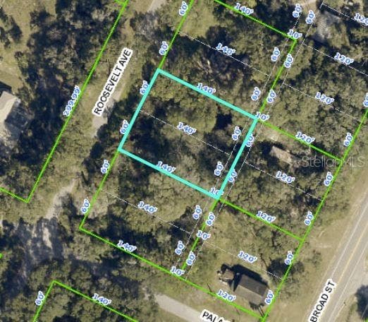 0 ROOSEVELT AVENUE BROOKSVILLE, FL 34604