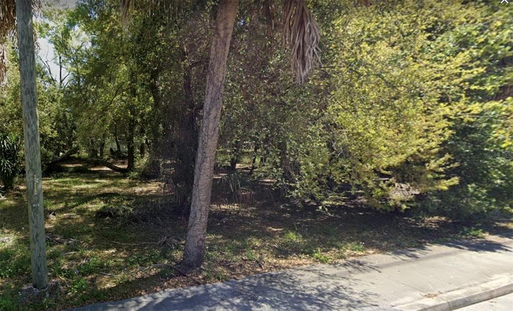 SAFFORD AVENUE TARPON SPRINGS, FL 34689