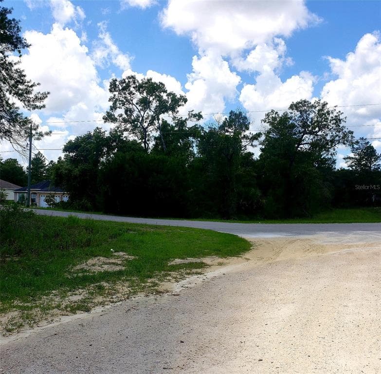 11135 LITTLE GULL ROAD WEEKI WACHEE, FL 34614
