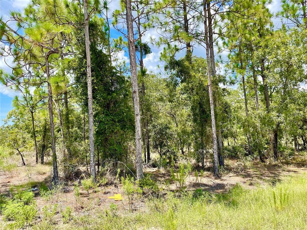12295 TINAMOU AVENUE WEEKI WACHEE, FL 34614