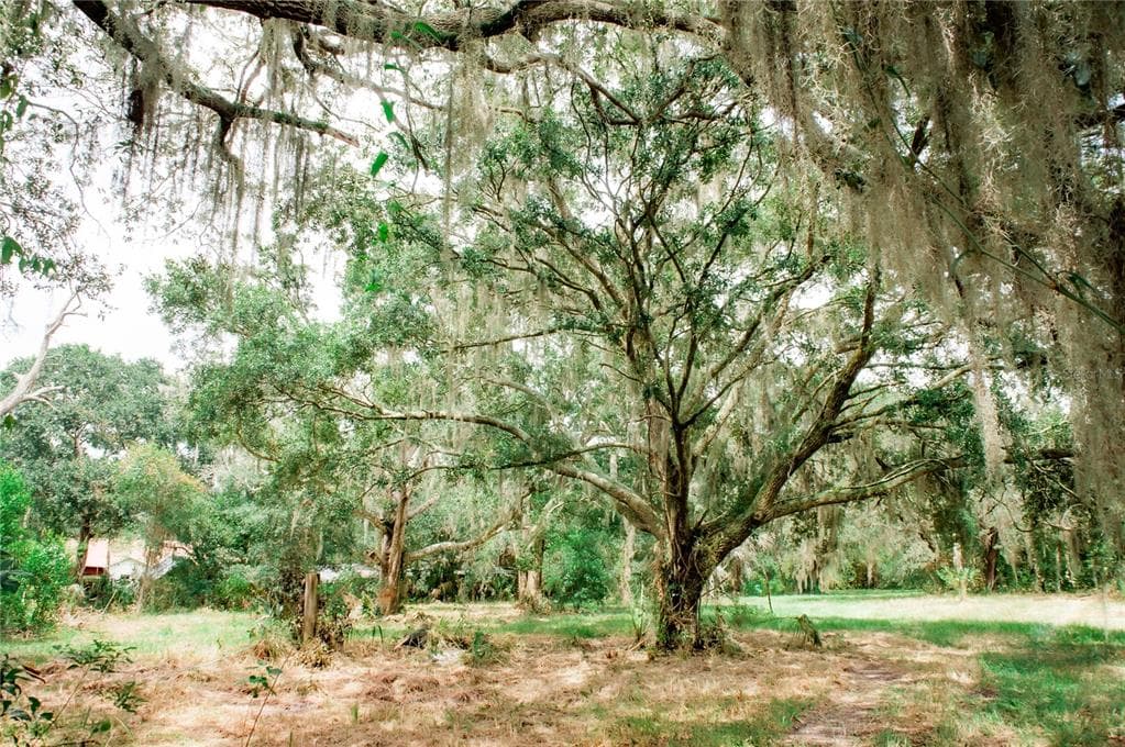 10940 BROWNING ROAD LITHIA, FL 33547