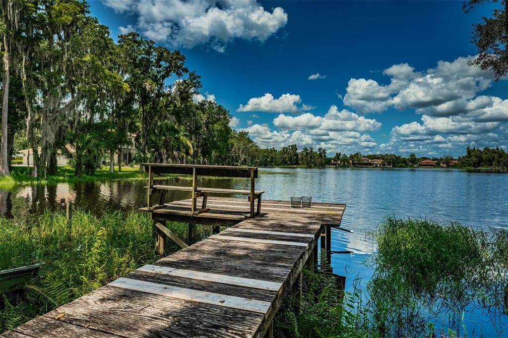 15434 LAKE MAGDALENE BOULEVARD TAMPA, FL 33613