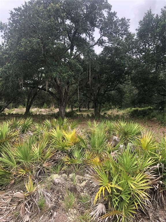 Bl245 L14-15 PALM AVENUE INDIAN LAKE ESTATES, FL 33855