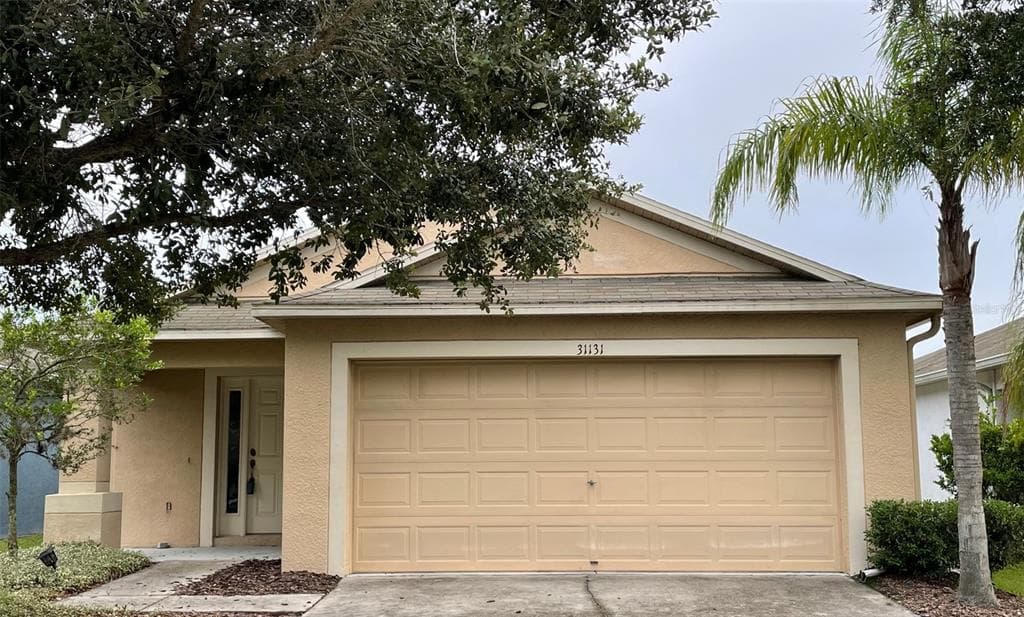 31131 MASENA DRIVE WESLEY CHAPEL, FL 33545