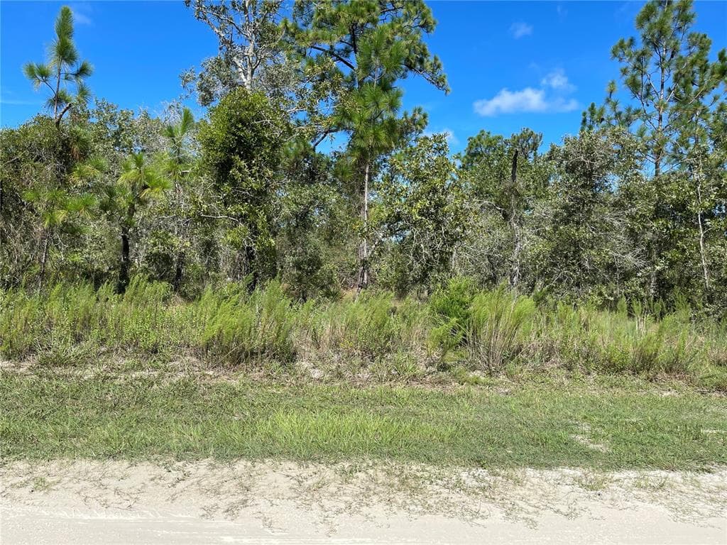 12137 EVERGLADES KITE ROAD