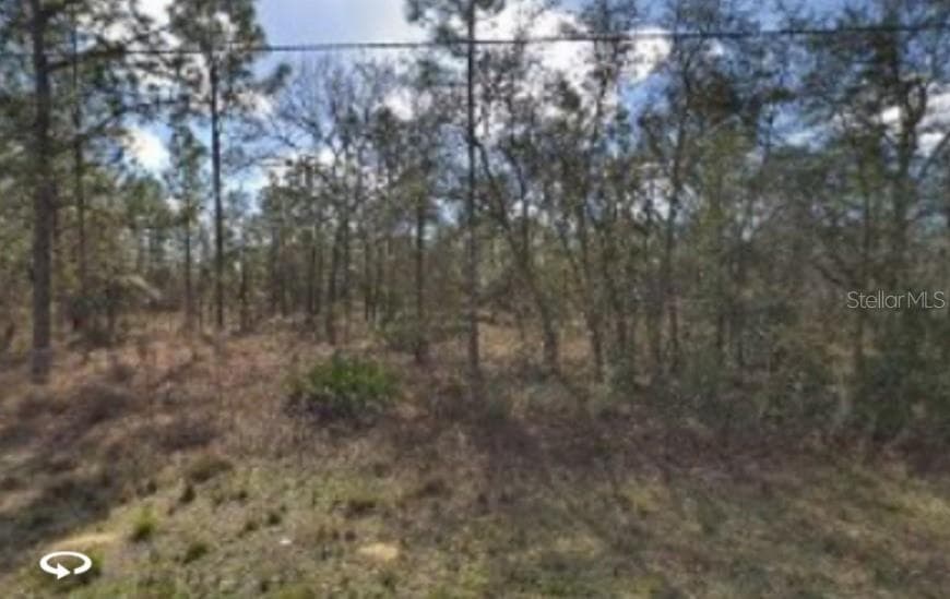 13348 EADOM AVENUE WEEKI WACHEE, FL 34614