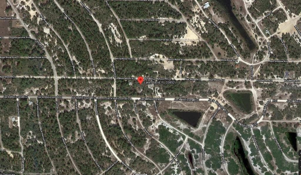 409 BLUE MOON AVENUE LAKE PLACID, FL 33852