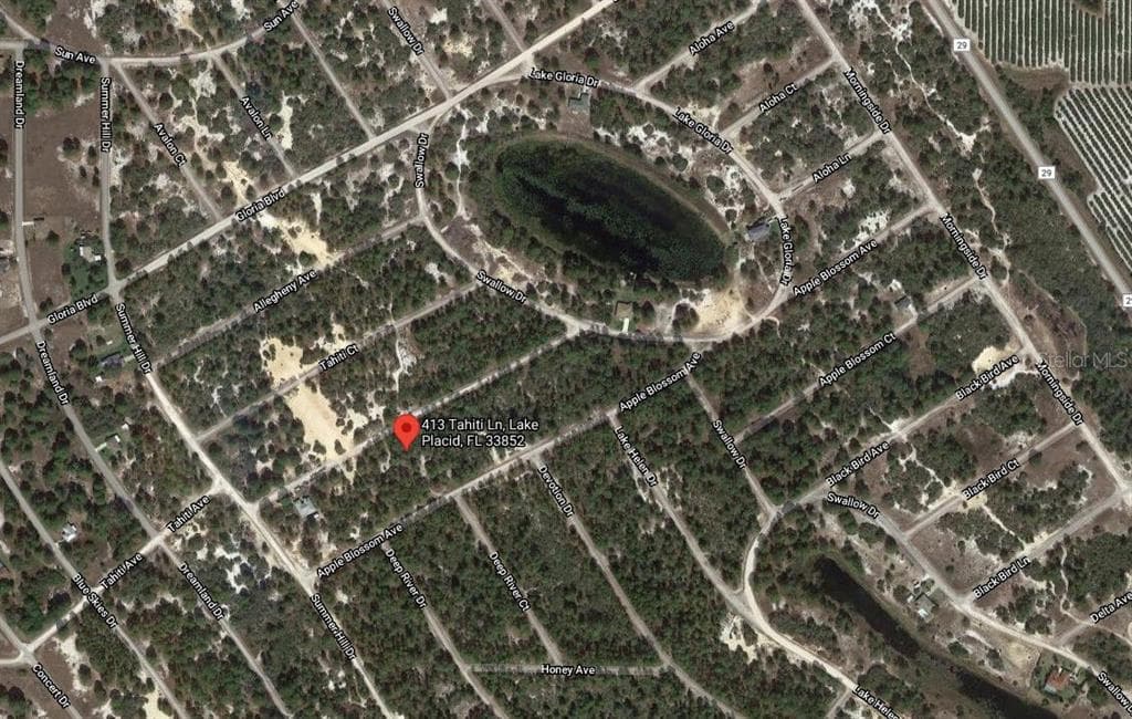 413 TAHITI LANE LAKE PLACID, FL 33852