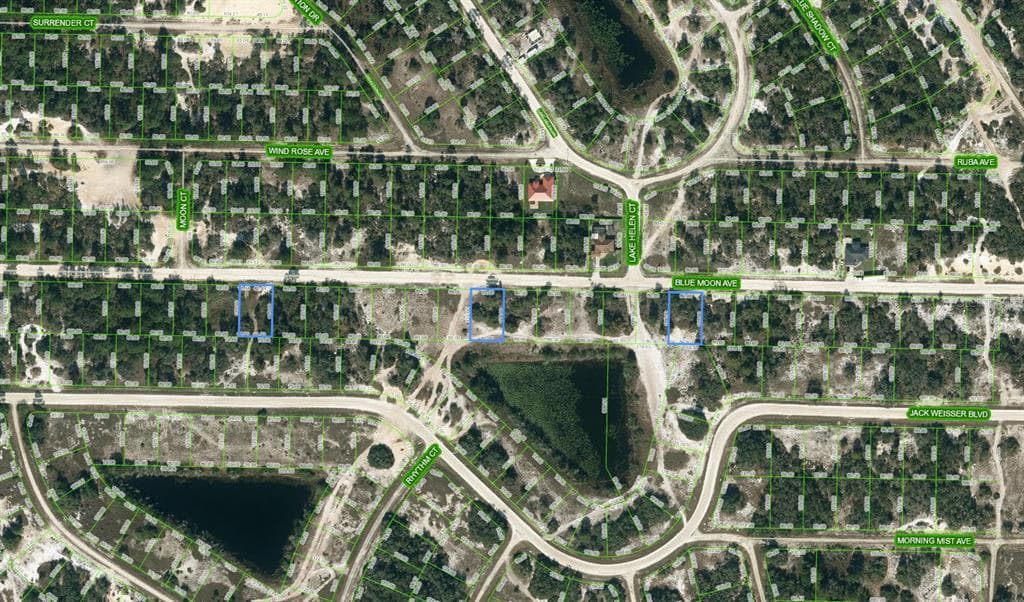 429 BLUE MOON AVENUE LAKE PLACID, FL 33852