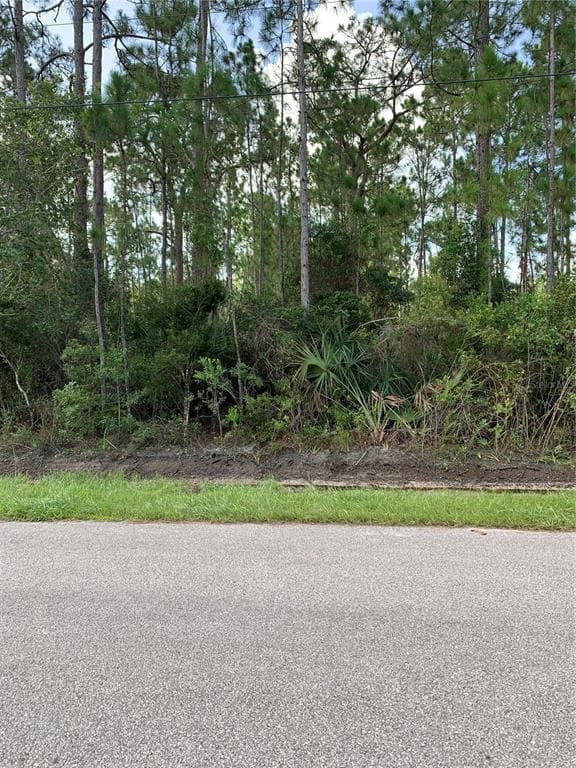 CORYDON AVENUE NORTH PORT, FL 34286