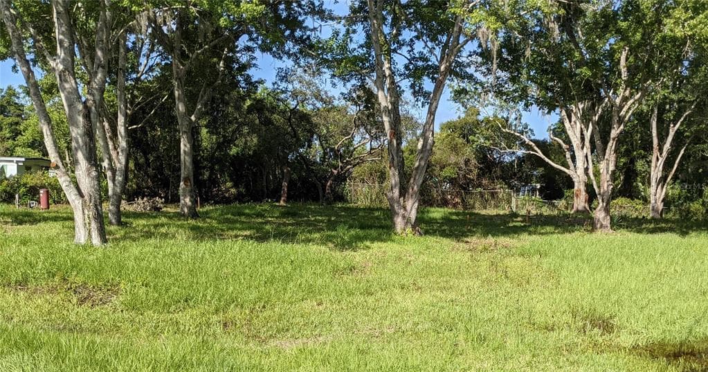 1686 S DELL POINT HOMOSASSA, FL 34448