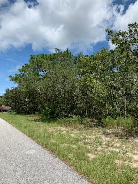 RICHLOAM LANE SPRING HILL, FL 34610