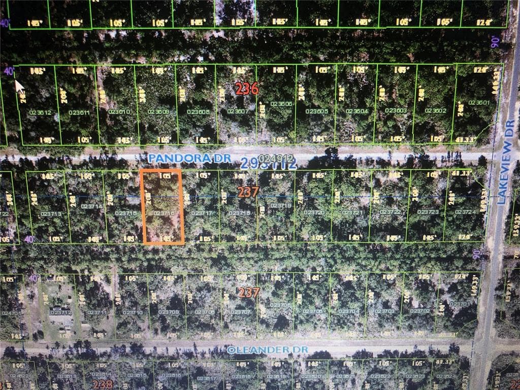 1017 PANDORA DRIVE INDIAN LAKE ESTATES, FL 33855
