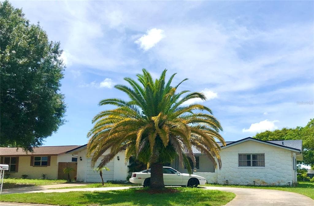 10121 OLEANDER DRIVE PORT RICHEY, FL 34668