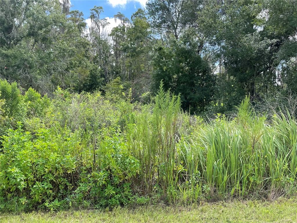 14 LAGUNA DRIVE INDIAN LAKE ESTATES, FL 33855