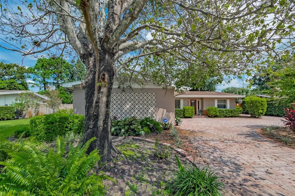 14905 N ROME AVENUE TAMPA, FL 33613