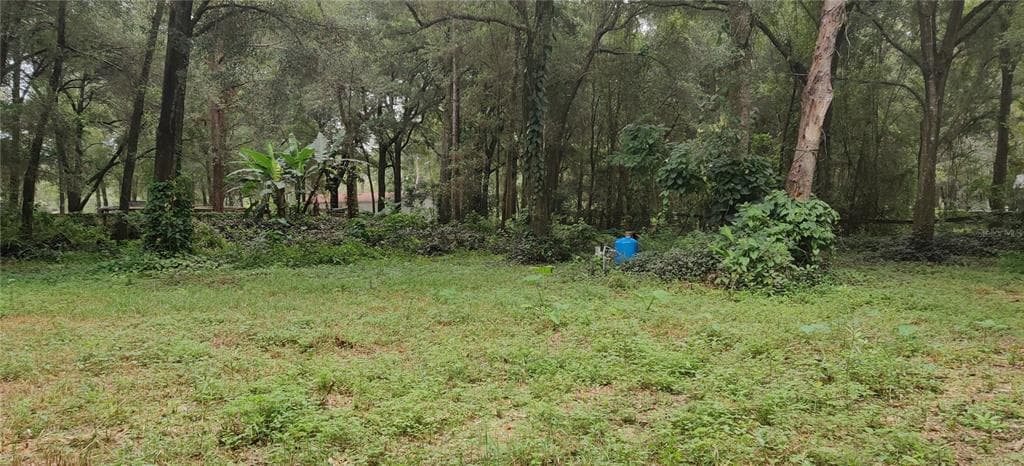 17034 NANDY LANE SPRING HILL, FL 34610