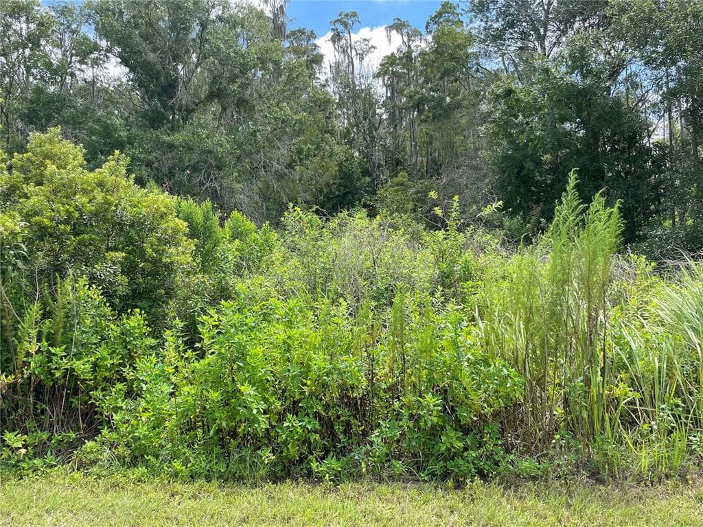 12 LAGUNA DRIVE INDIAN LAKE ESTATES, FL 33855