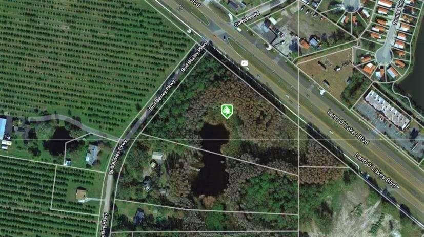 6500 LAND O LAKES BOULEVARD LAND O LAKES, FL 34638
