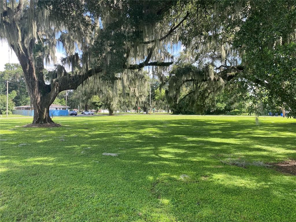 201 VICTORIA STREET BRANDON, FL 33510